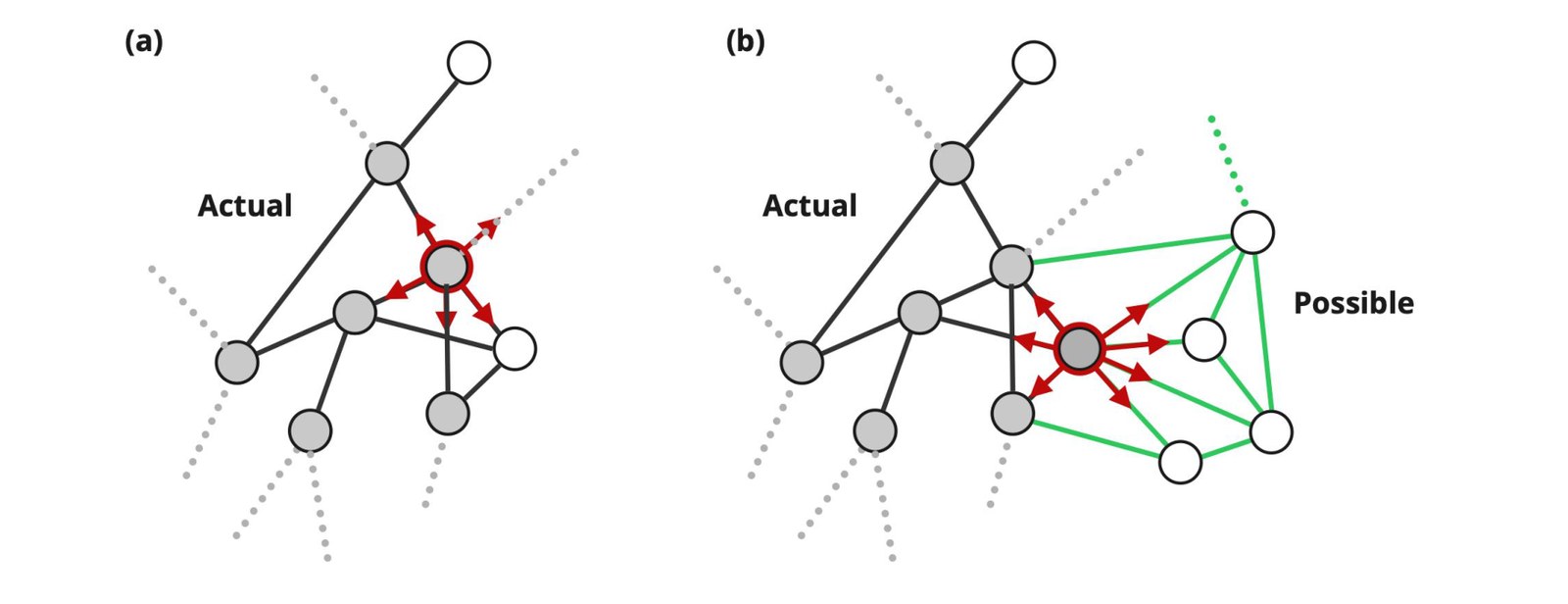 Two network graphs: in (a) an actual node is selected; in (b) the node is actualized and new possible neighbours become reachable, shown in green